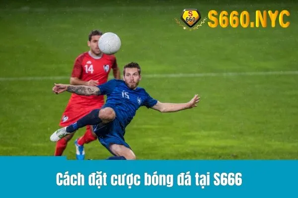 Cách đặt cược bóng đá tại S666: Từ cơ bản đến chuyên sâu