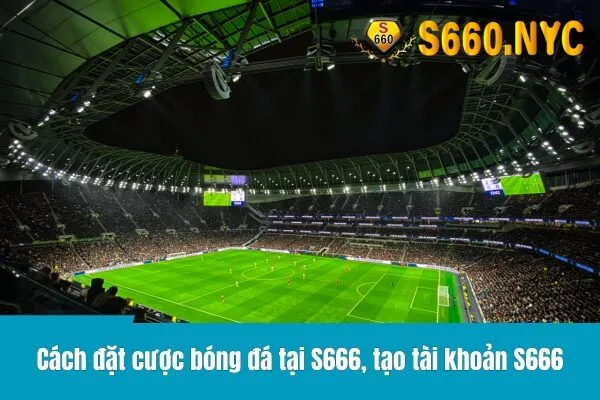 Cách đặt cược bóng đá tại S666: Từ cơ bản đến chuyên sâu