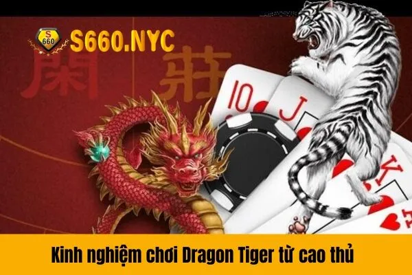 Kinh nghiệm chơi Dragon Tiger từ cao thủ